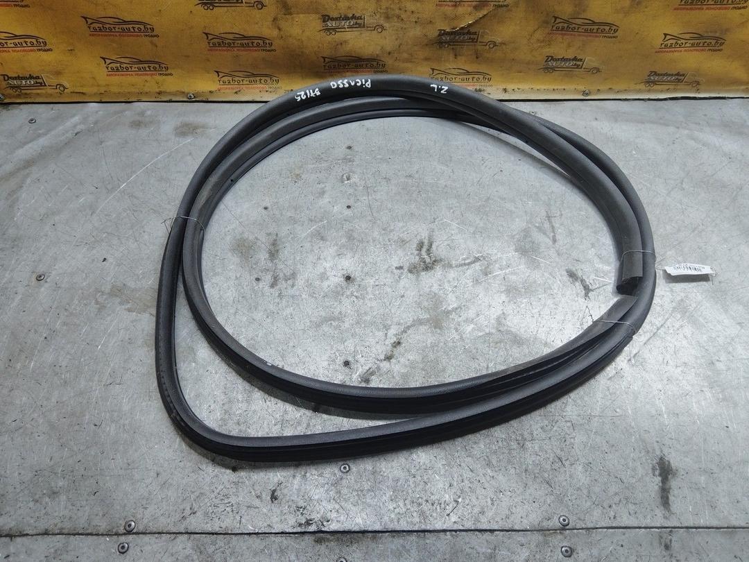 Уплотнитель двери задней левой O99Y3E Citroen Xsara Picasso купить с доставкой