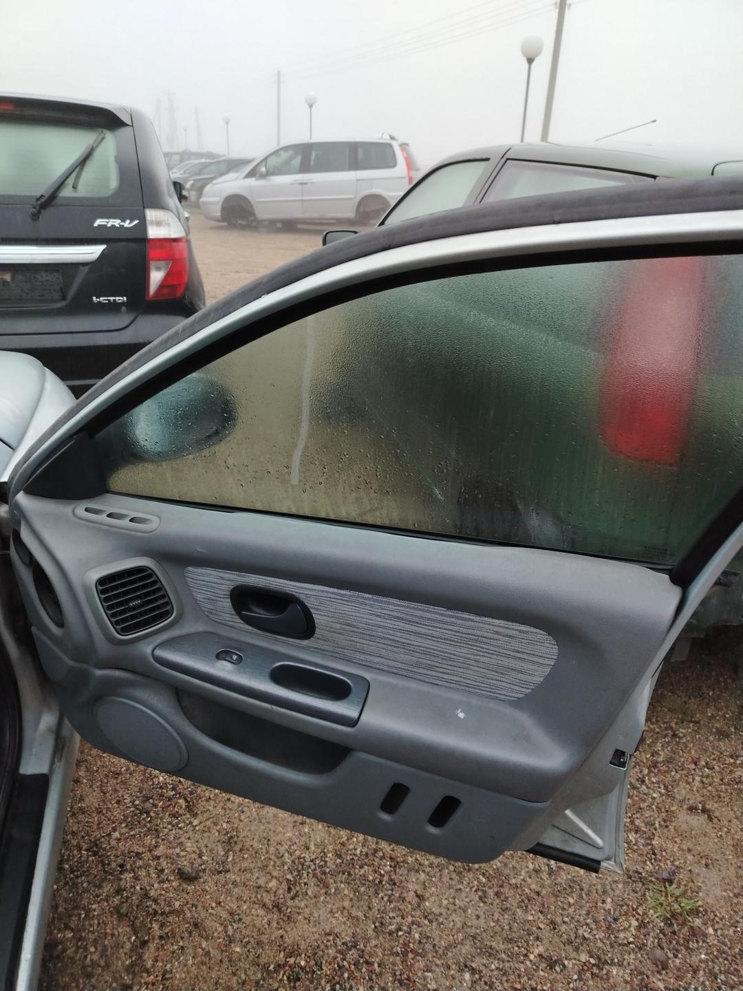 Петля двери передней правой 3RT56I Renault Laguna