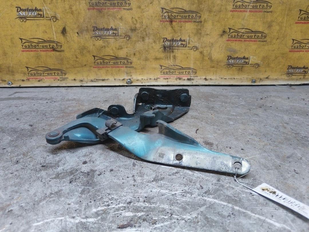 Петля капота MYEXBD Fiat Bravo купить с доставкой