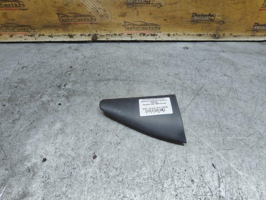 Накладка крыла (уголок зеркала) переднего правого 7DXHE7 Peugeot 406 - Фото 1