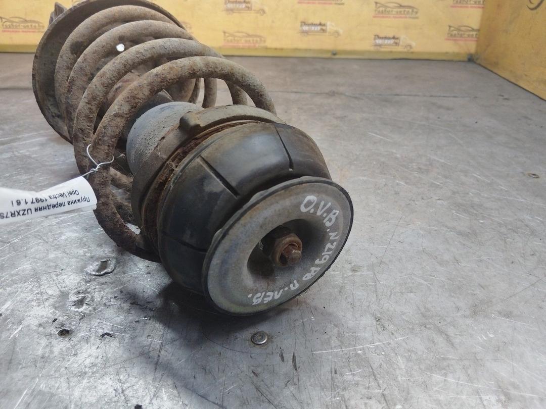 Амортизатор передний левый O34Y32 Opel Vectra купить с доставкой