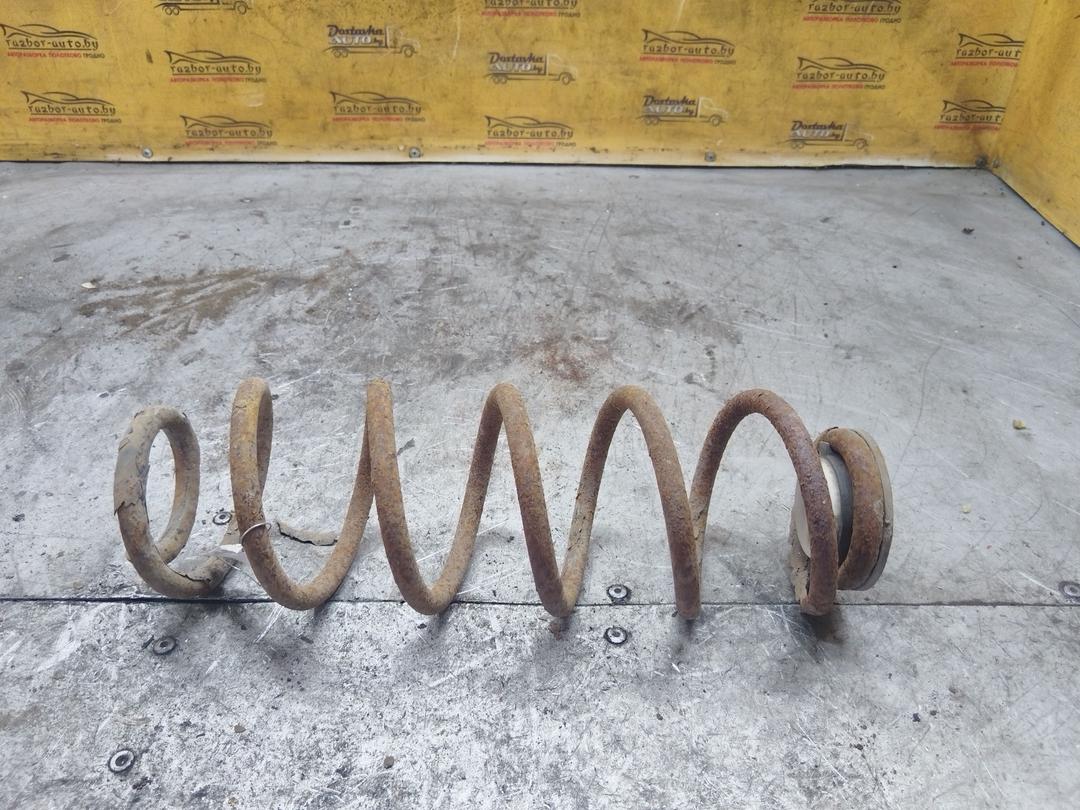 Пружина задняя WTFGO1 Peugeot 307 - Фото 1