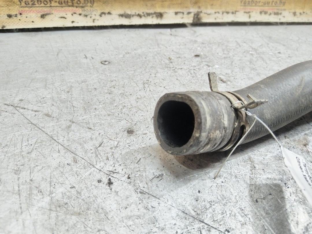 Патрубок радиатора F2C8FE Citroen Xsara Picasso - Фото 3