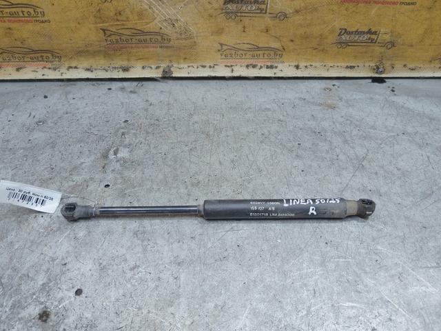 Амортизатор крышки багажника (3-5 двери) GFQAJB Fiat Linea - Фото 2