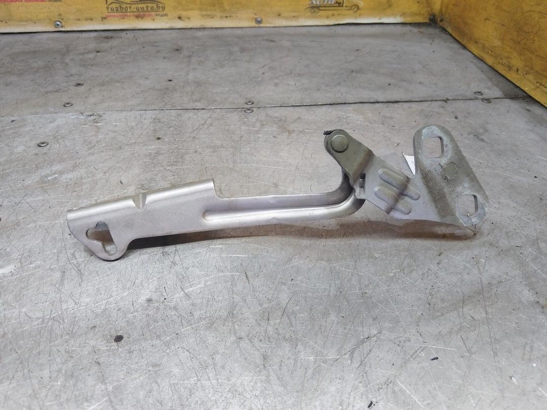 Петля капота левая 9PIPGG Citroen Xsara Picasso - Фото 2