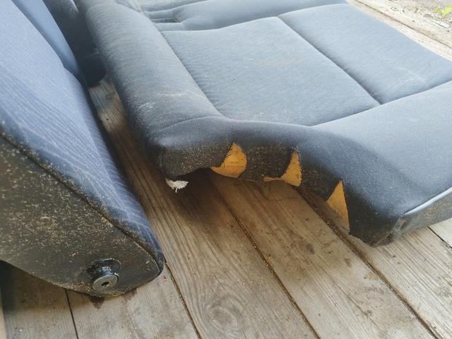 Сиденье заднее 5NR884 BMW 5 E39 undefined