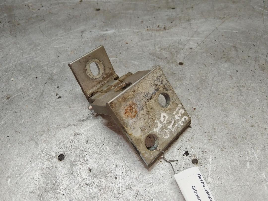 Петля двери передней правой D8AL1K Citroen Xsara