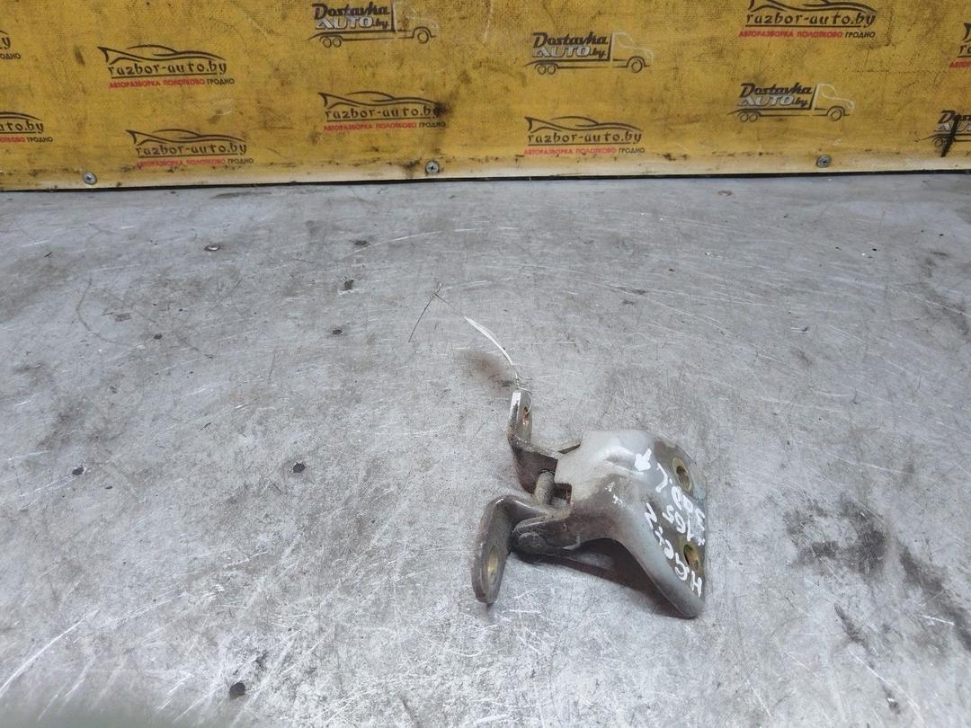 Петля двери задней левой 9ZFPCK Hyundai Getz undefined