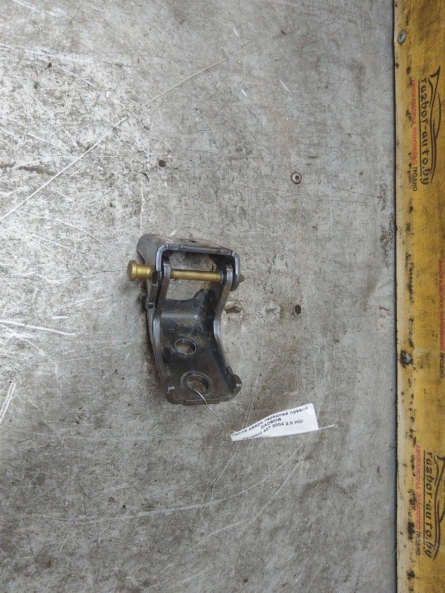 Петля двери передней правой DAD9MR Peugeot 407 купить в магазине запчастей бу