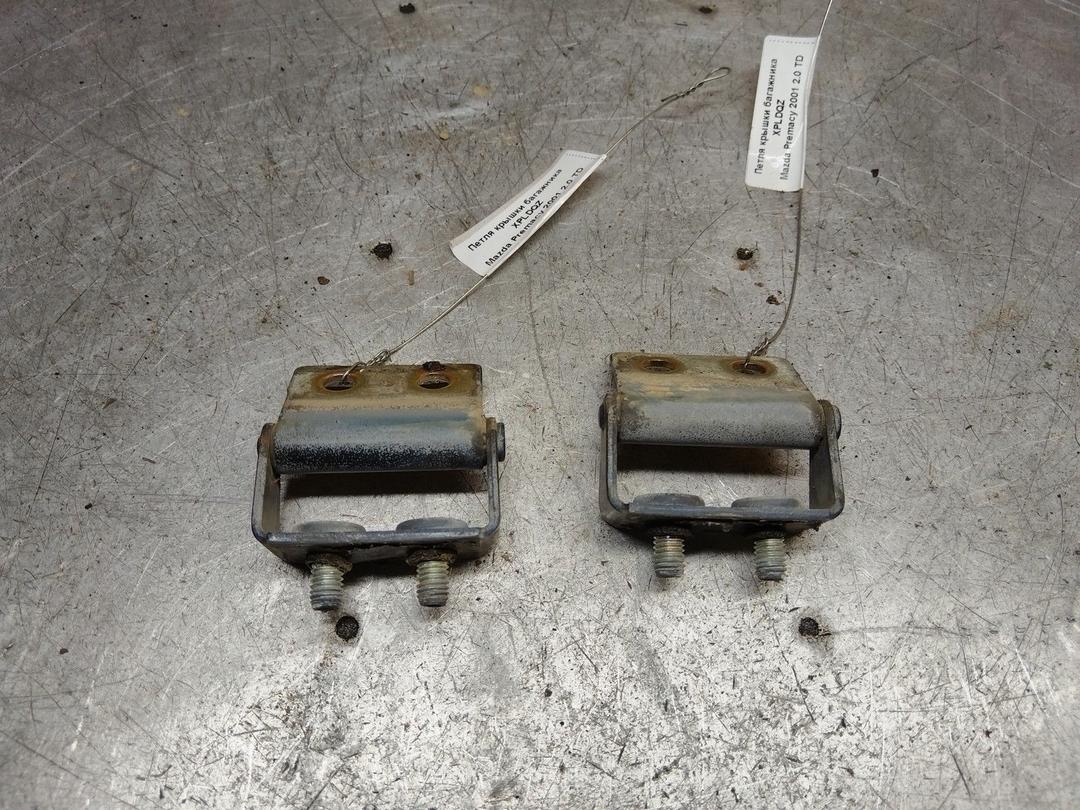 Петля крышки багажника XPLDQZ Mazda Premacy - Фото 1