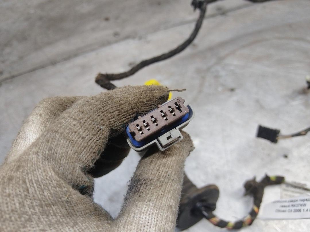 Проводка двери передней левой RK37HW Citroen C4 купить с доставкой