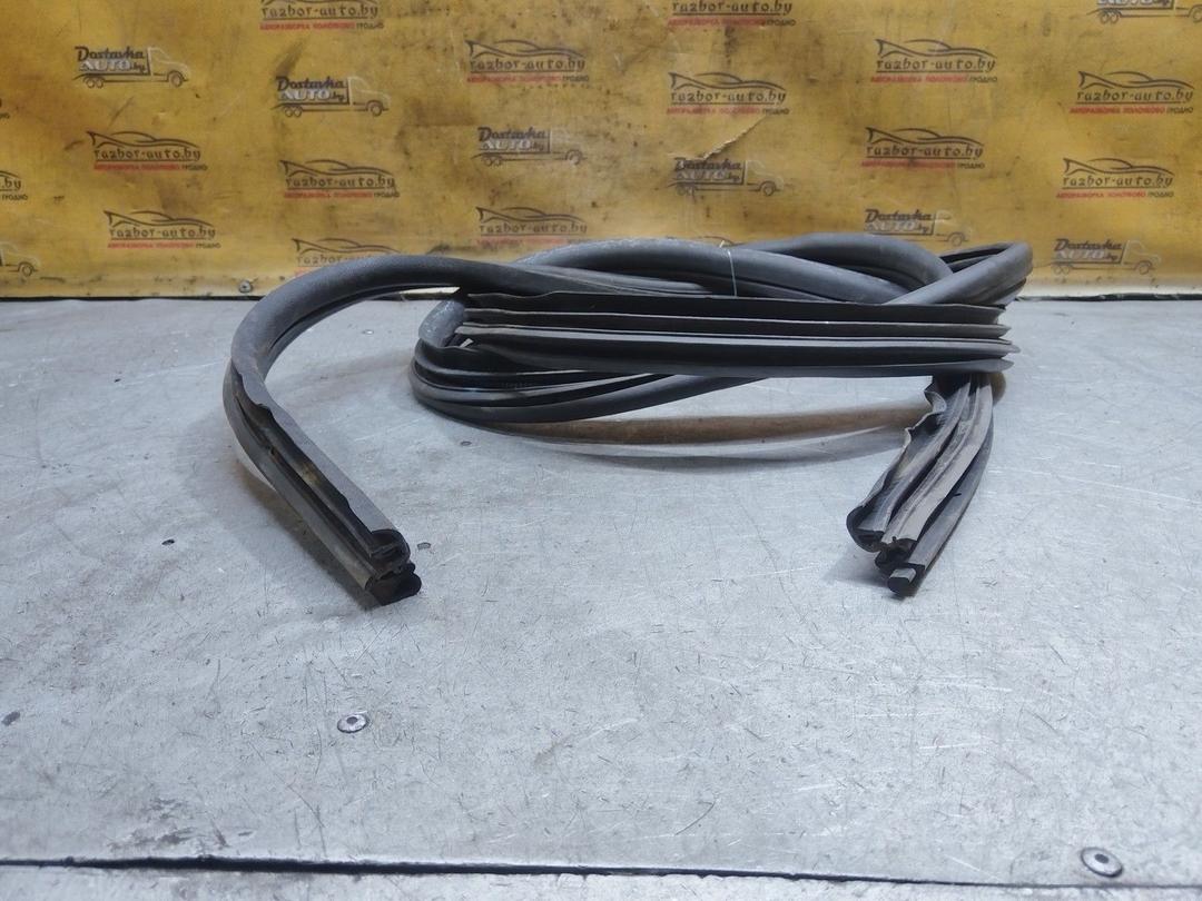 Уплотнитель двери задней правой 2VU4HR Renault Scenic купить с доставкой