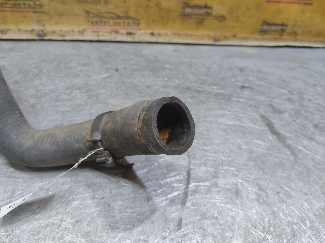 Патрубок радиатора Q7WMVH Fiat Bravo купить в магазине запчастей бу