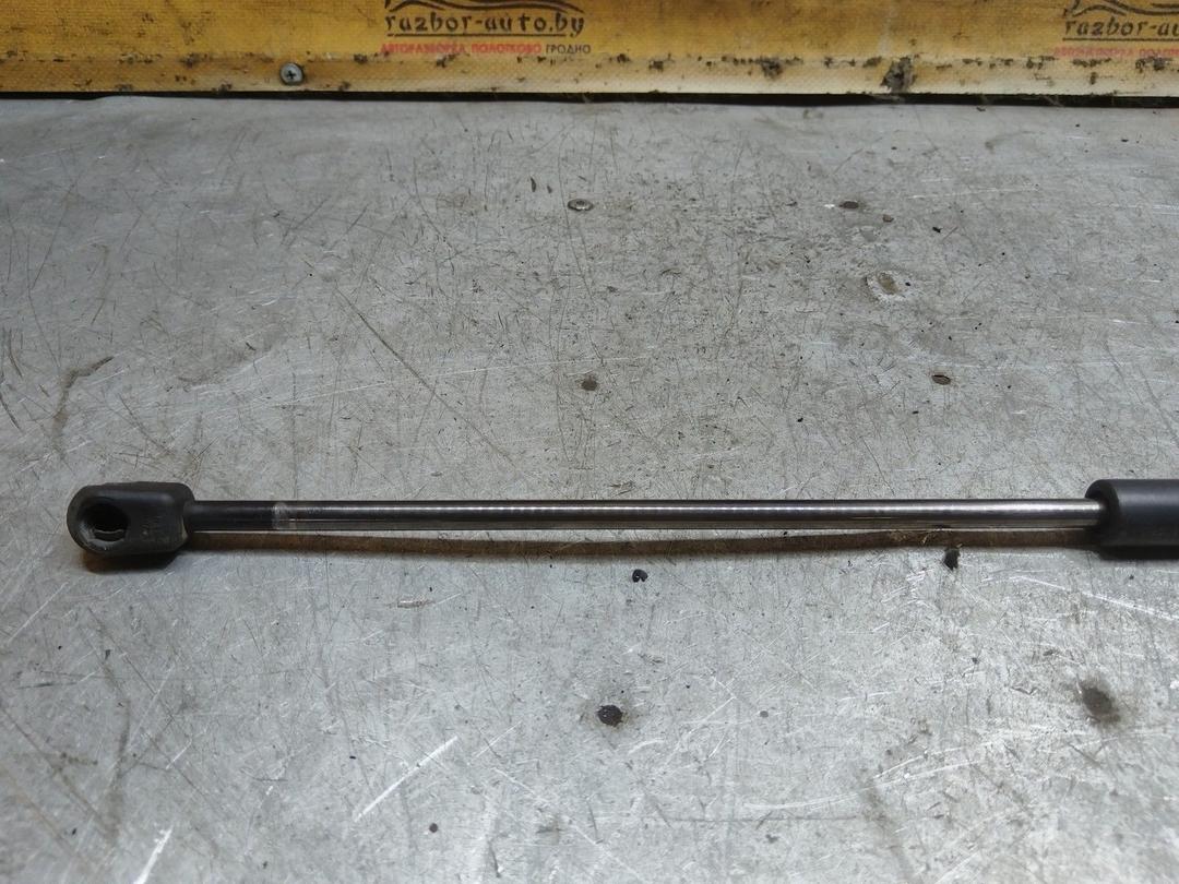 Амортизатор крышки багажника (3-5 двери) KSNIIM Ford C-Max купить с доставкой