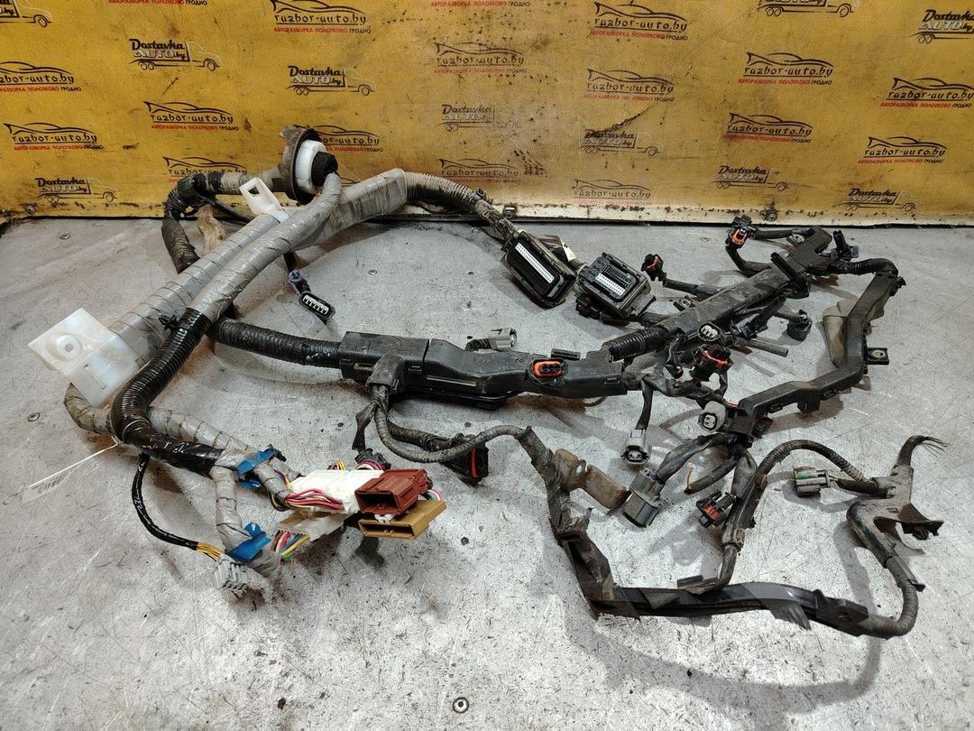 Проводка двигателя QULMZW Honda Accord - Фото 1