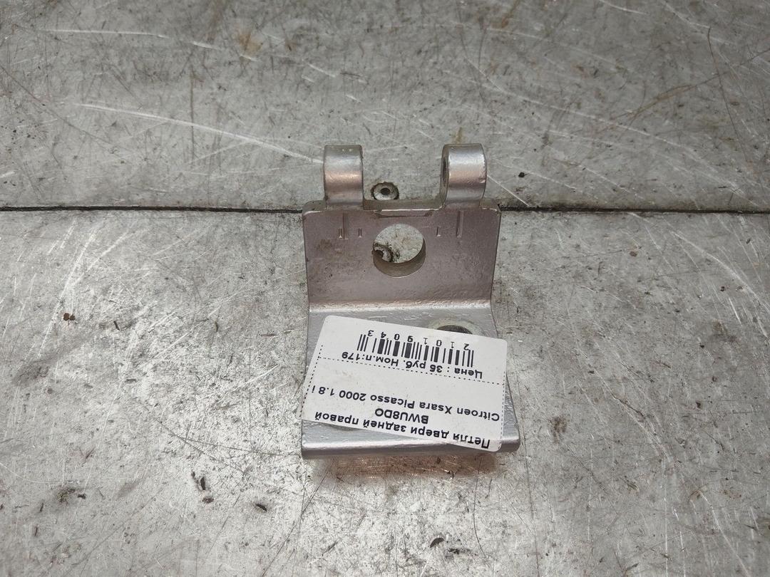 Петля двери задней правой BWU8DO Citroen Xsara Picasso купить