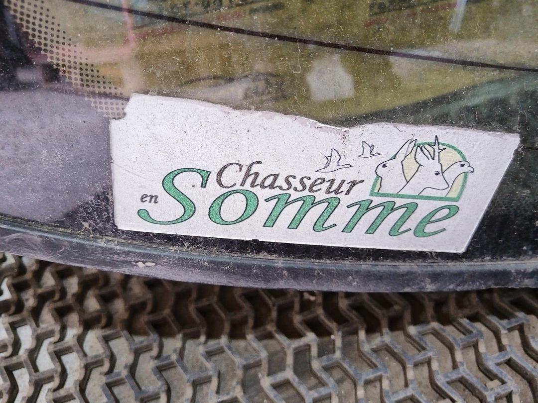 Стекло заднее 8HPA4Y Citroen Xsara купить с доставкой