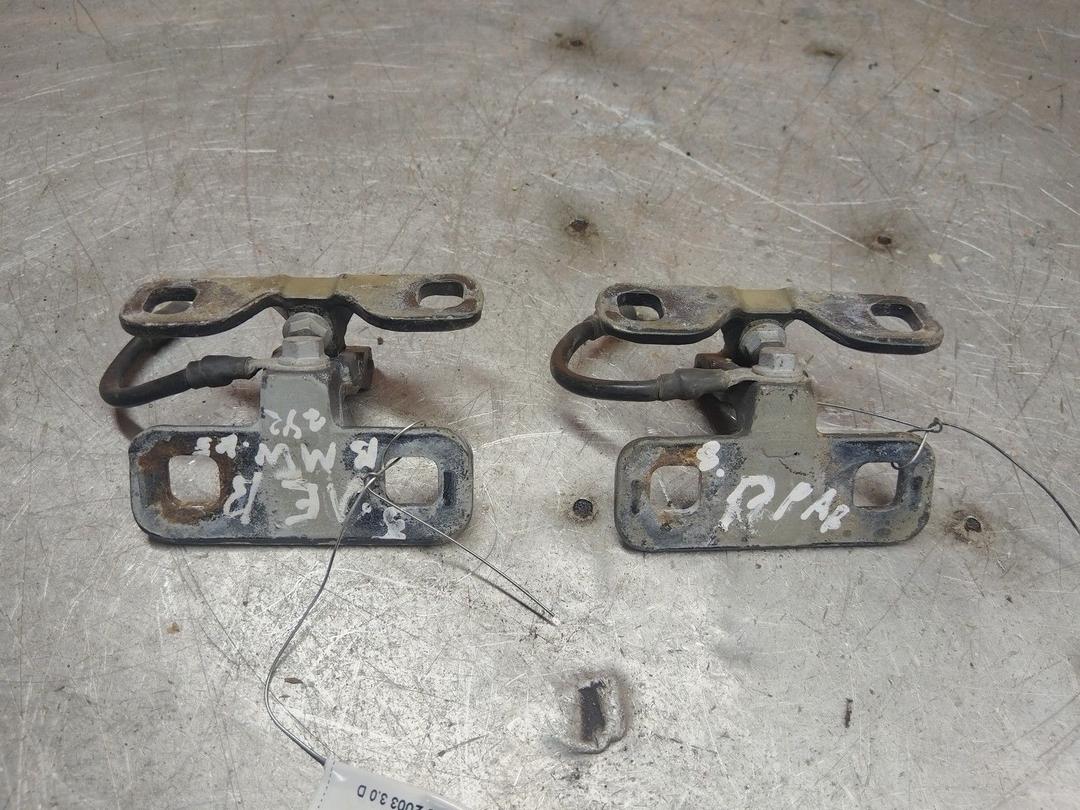 Петля крышки багажника 3ZXYST BMW X5 E53 - Фото 1