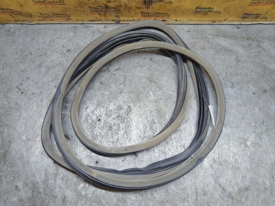 Уплотнитель двери задней левой 9607O6 Renault Espace купить