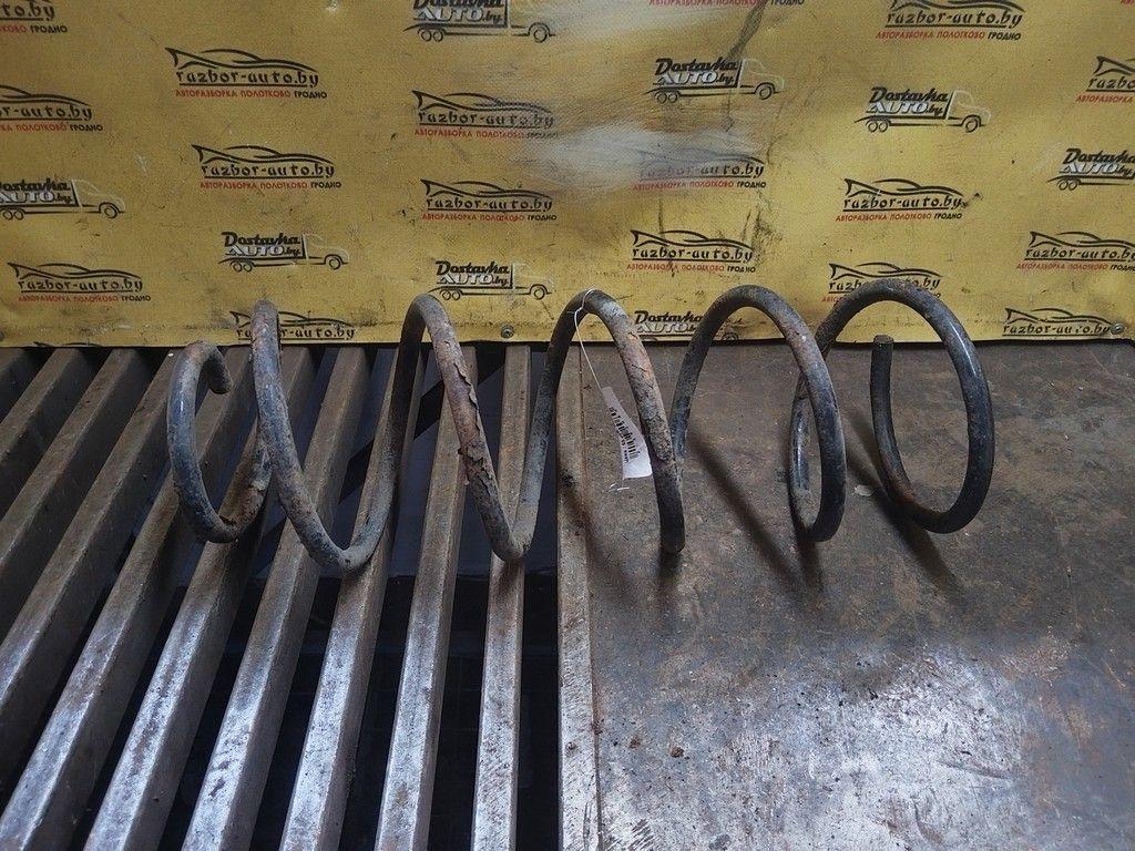 Пружина передняя G1NWNS Peugeot 406 - Фото 1