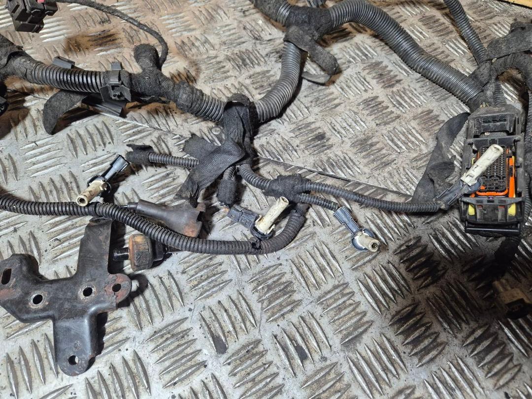 Проводка двигателя 446ALF Opel Meriva - Фото 1