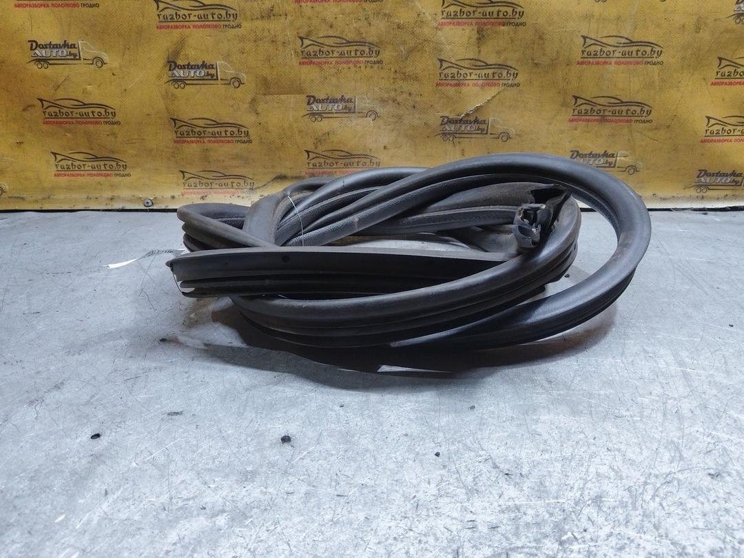 Уплотнитель двери передней левой 9F5X8Y Fiat Punto купить