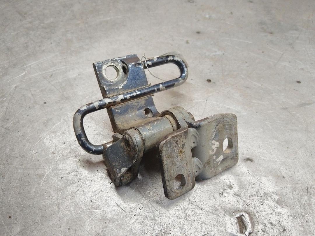 Петля двери задней левой M21IBY Volkswagen Passat