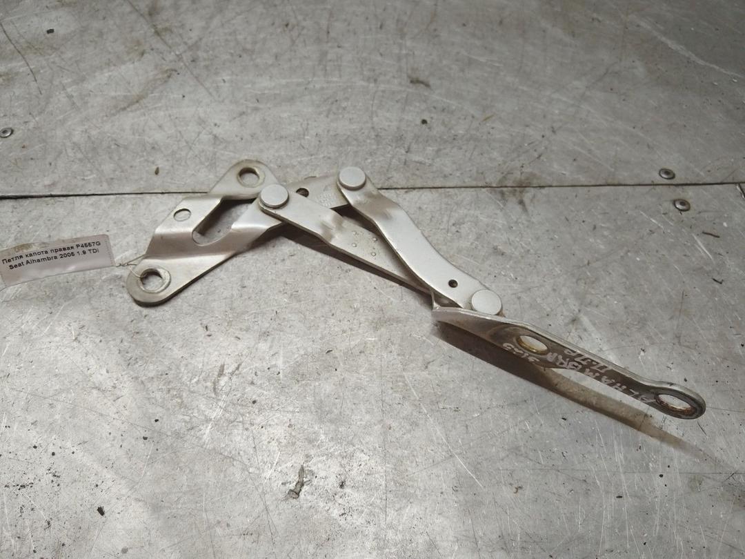 Петля капота правая P4557G Seat Alhambra