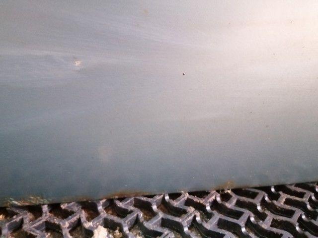 Дверь передняя правая XURT1U Skoda Octavia купить в магазине запчастей бу