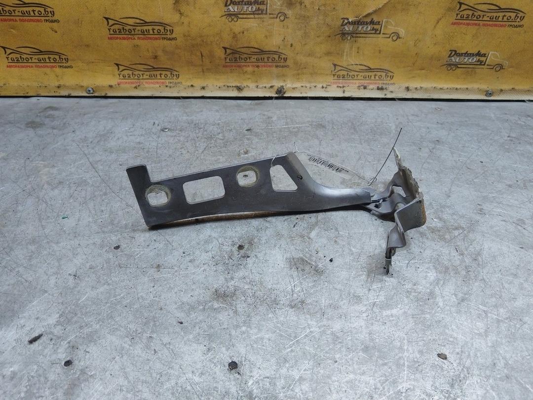 Петля капота правая BR4FX7 Opel Zafira