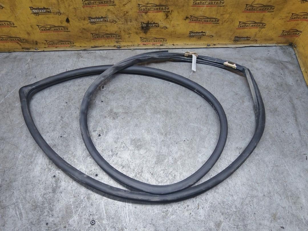 Уплотнитель двери задней левой NSIFJ4 Toyota Corolla