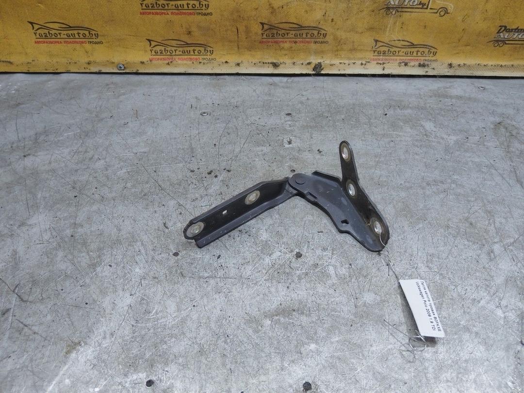 Петля капота правая B0FKXE Volkswagen Polo купить