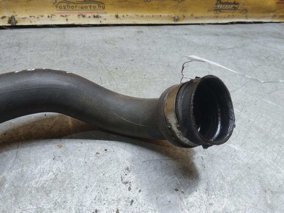 Патрубок интеркулера AW8XQE Renault Scenic купить с доставкой