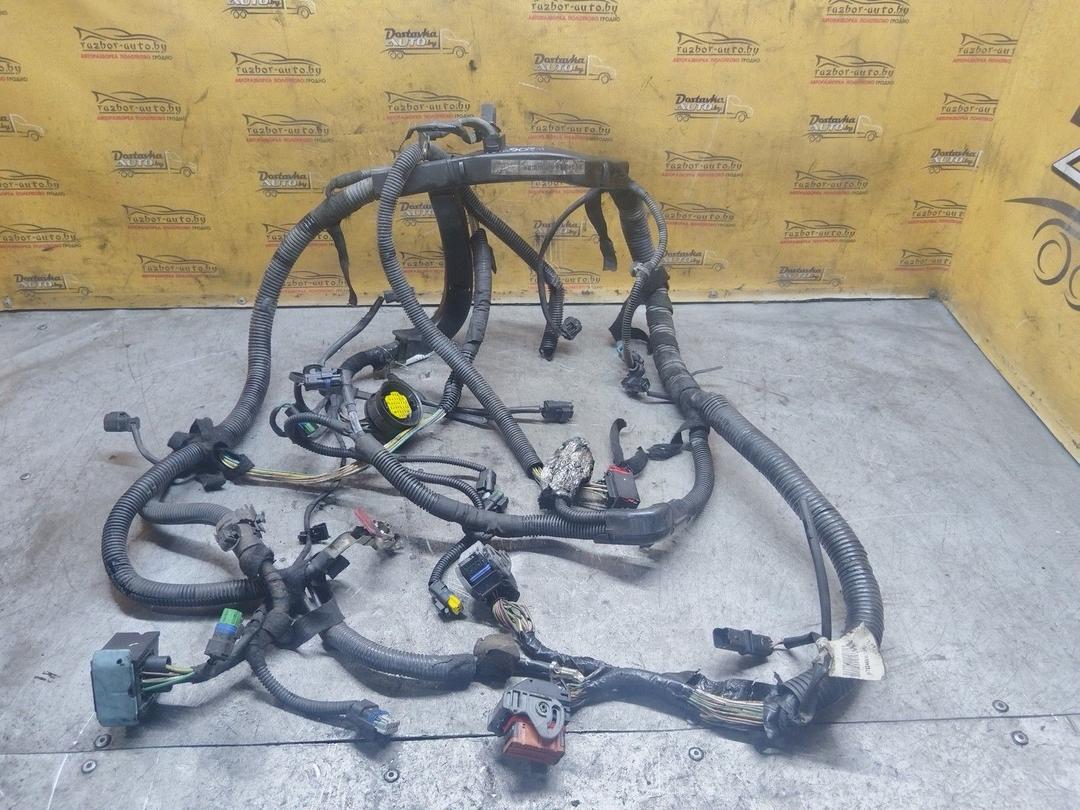 Проводка двигателя Z42DLG Peugeot 206