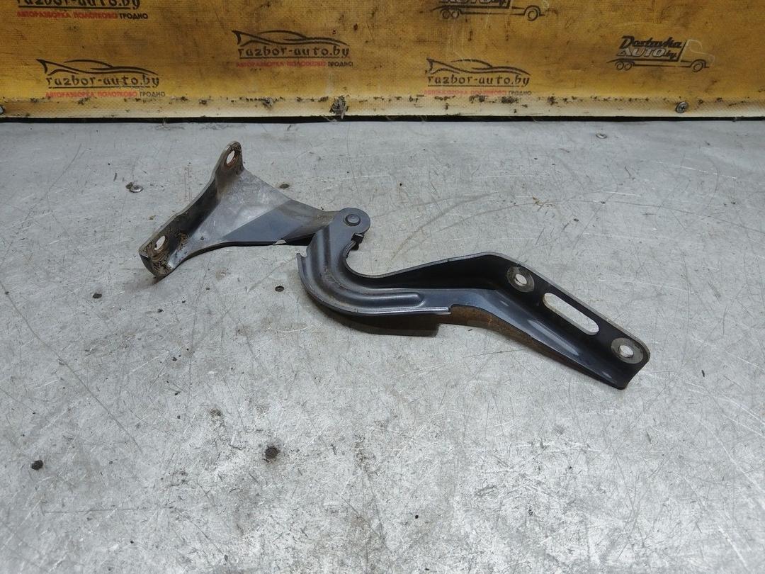 Петля капота левая G701FJ Honda Accord купить с доставкой