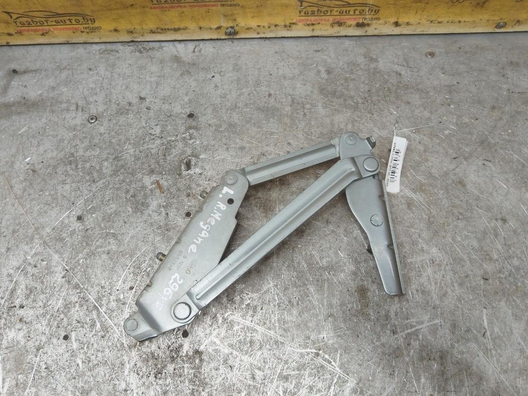 Петля крышки багажника WB01AD Renault Megane купить с доставкой. Огромный выбор запчастей и марок авто. У нас есть практически все.