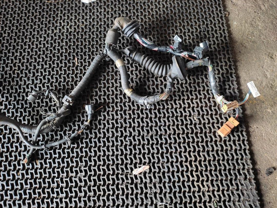 Проводка двигателя GGVBRX Nissan Almera Tino купить