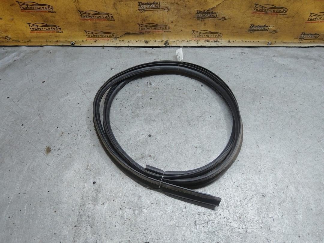 Уплотнитель PPRS00 Citroen C3