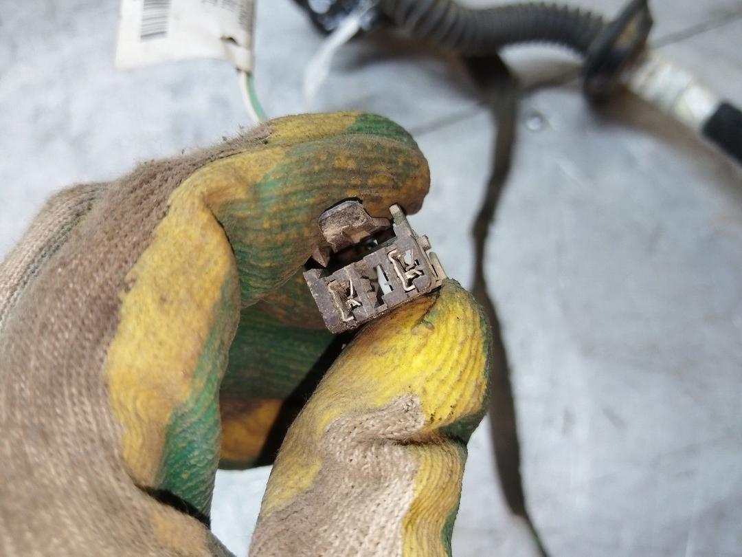 Проводка двери задней левой TE902S Renault Scenic купить с доставкой