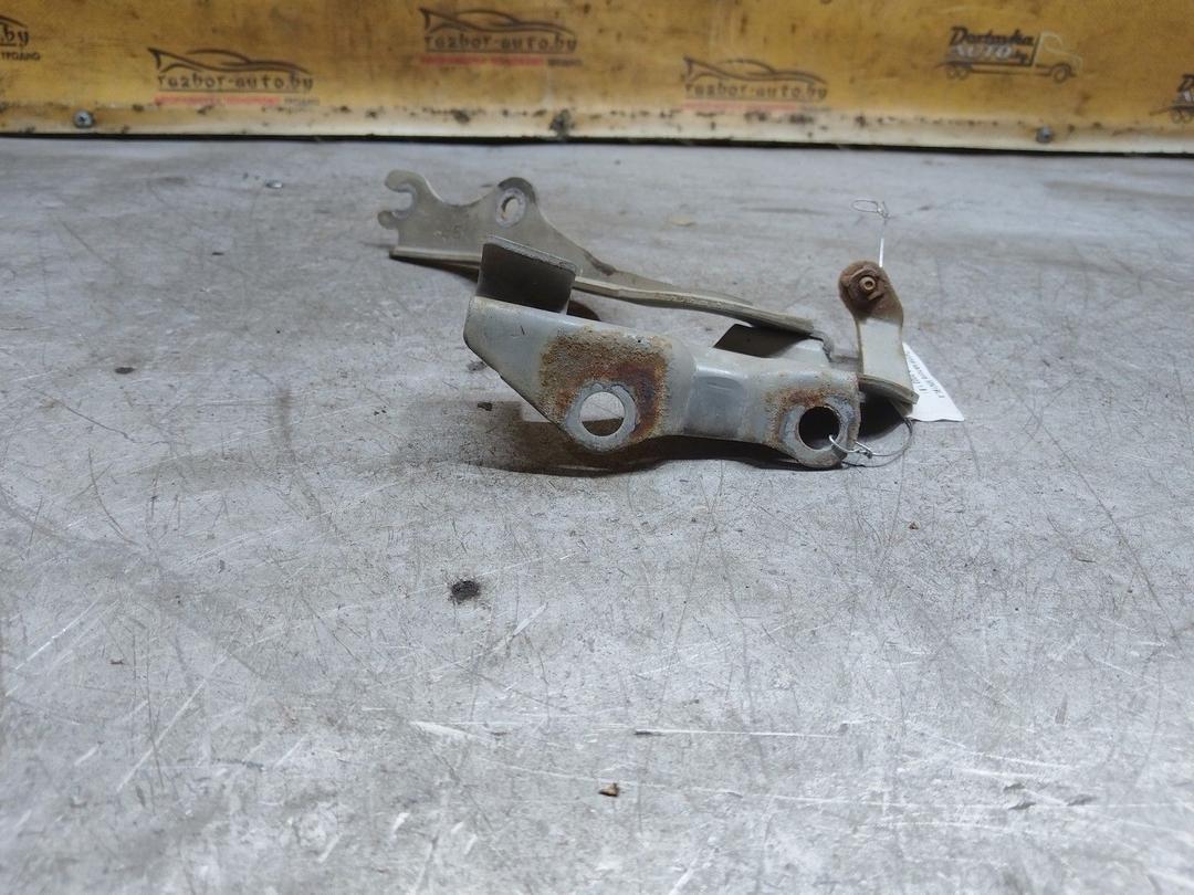 Петля капота MN19LX Mazda 3 купить с доставкой