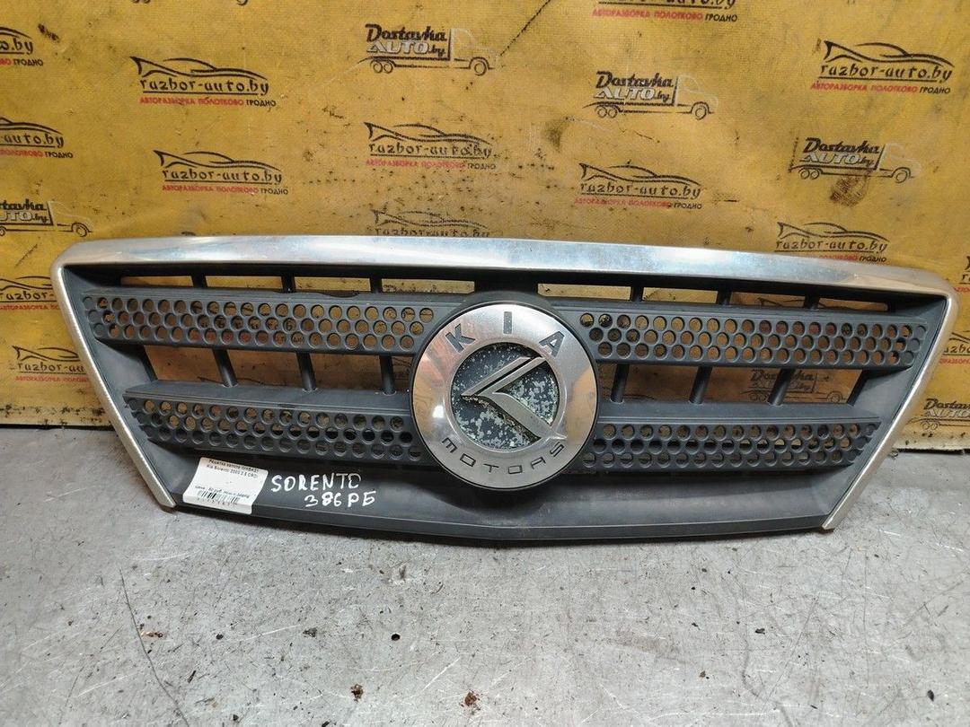 Решетка капота WHSK31 Kia Sorento - Фото 1