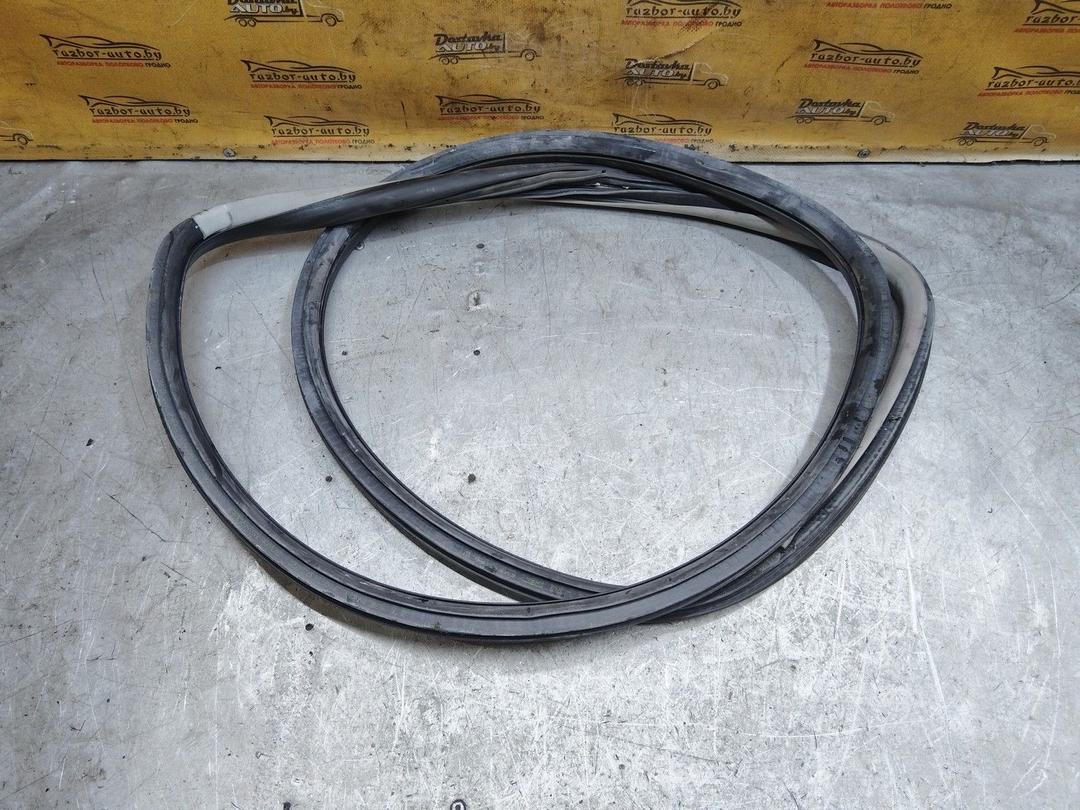 Уплотнитель двери задней правой 1ID4QD Volkswagen Passat купить с доставкой