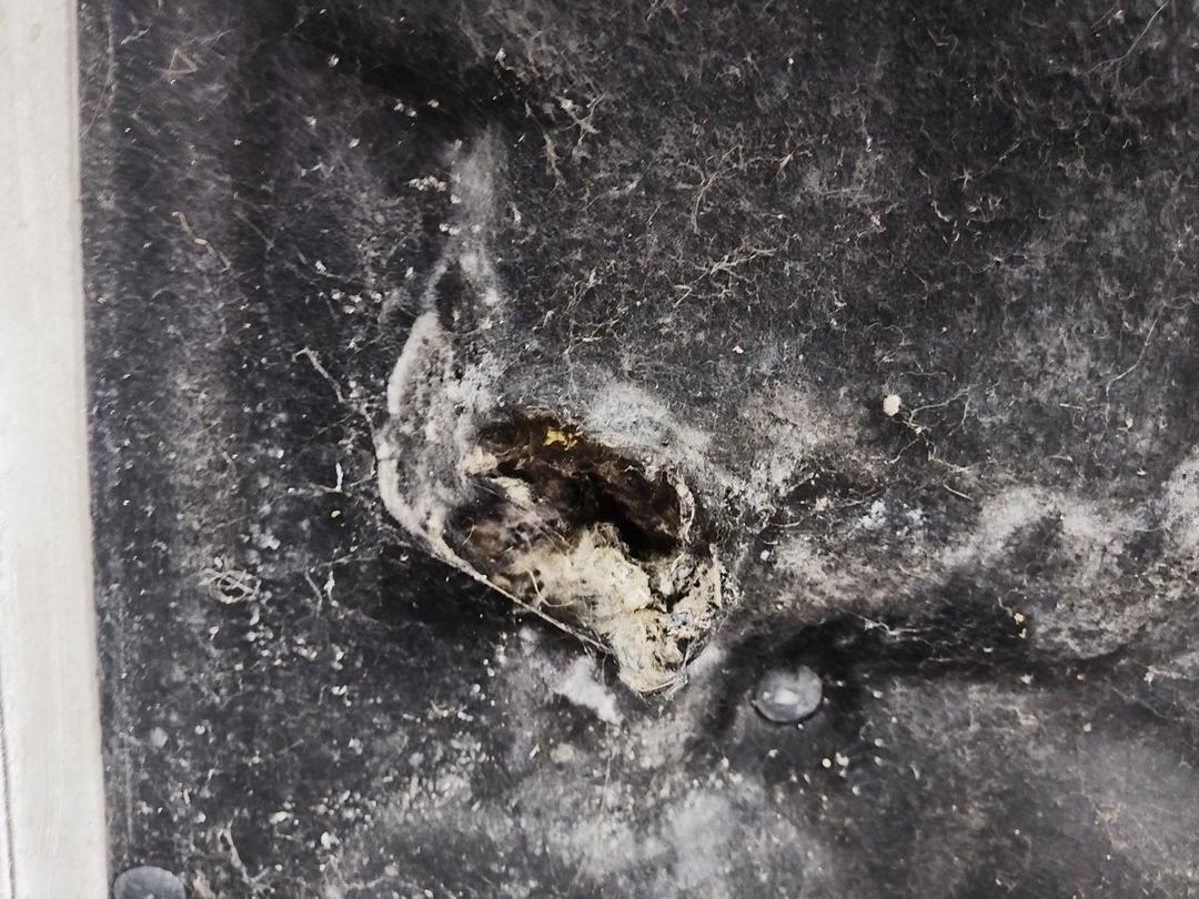 Шумоизоляция капота DO1JWL Citroen Jumper - Фото 4