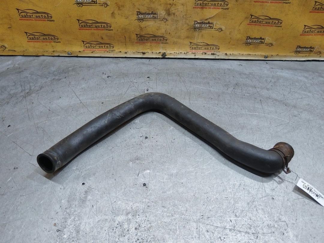 Патрубок радиатора 38QTP4 Renault Laguna купить с доставкой