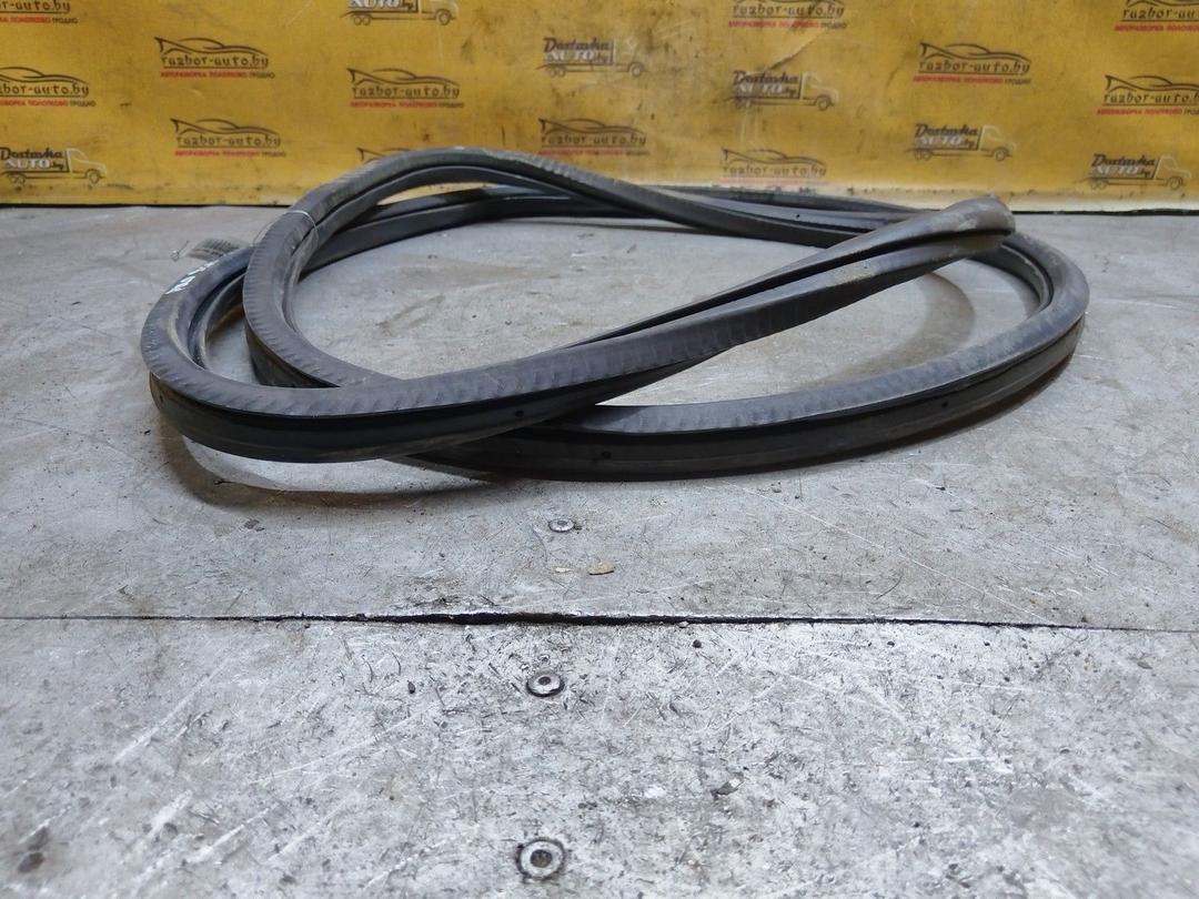 Уплотнитель двери задней правой C992ZO Volkswagen Polo купить