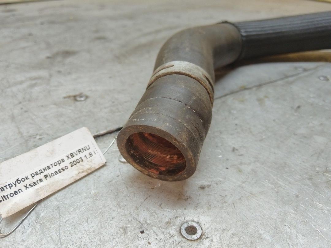 Патрубок радиатора XBVRNU Citroen Xsara Picasso - Фото 2