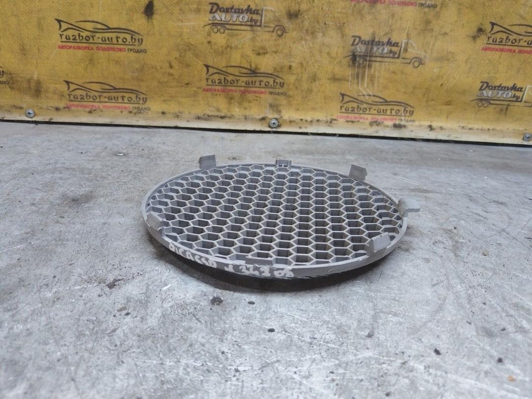 Сетка для динамика 2UNQLU Citroen C5 купить с доставкой