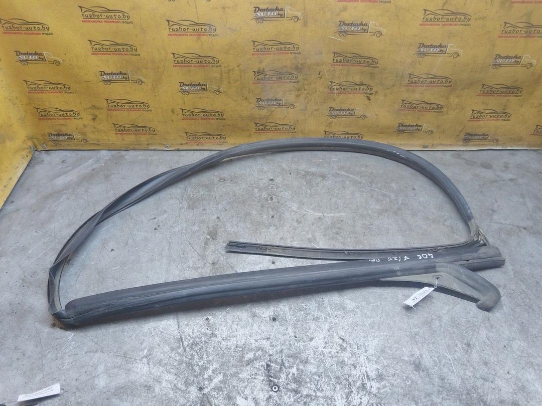 Молдинг стекла лобового RXNIO0 Peugeot 406 купить в магазине запчастей бу