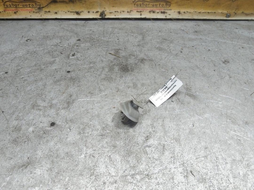 Крепление (крючок) солнцезащитного козырька A4LCCB Renault Scenic купить