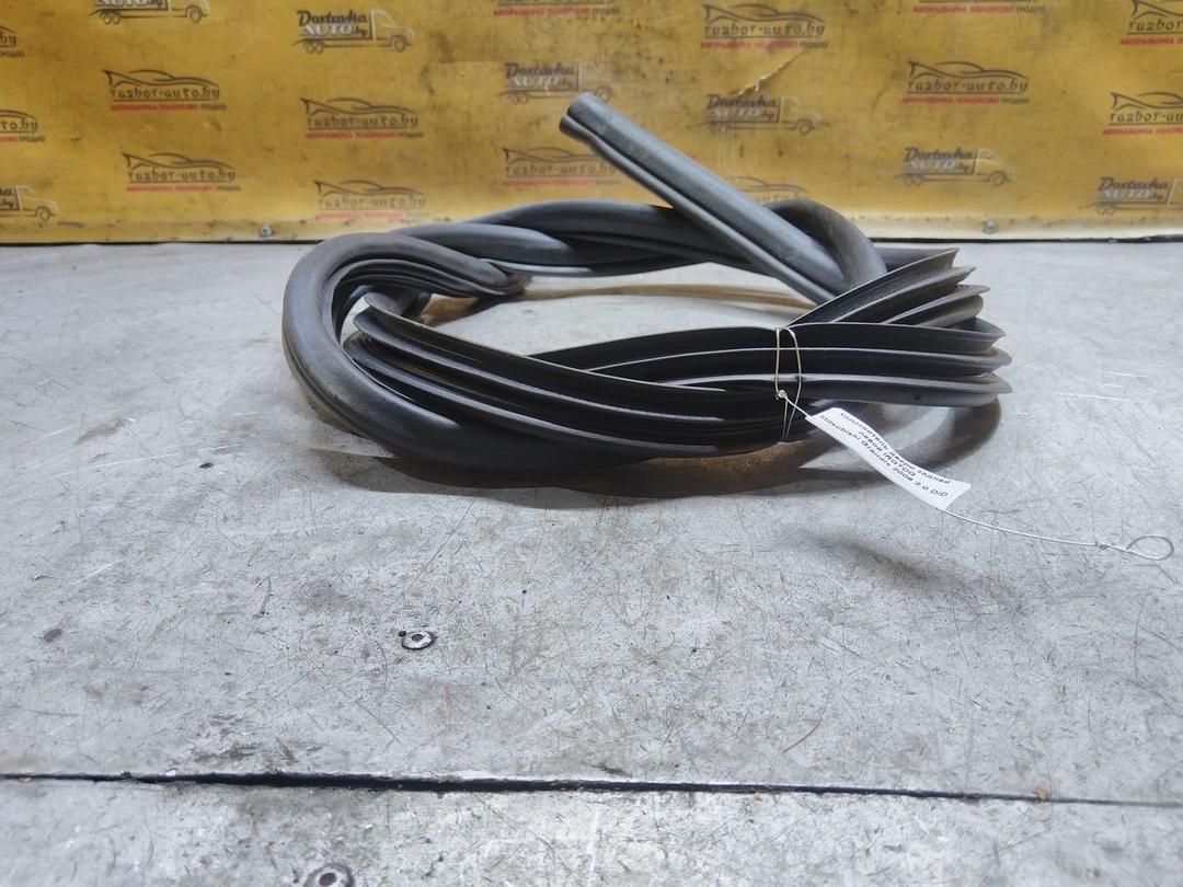 Уплотнитель двери задней левой IRQTDG Mitsubishi Grandis купить